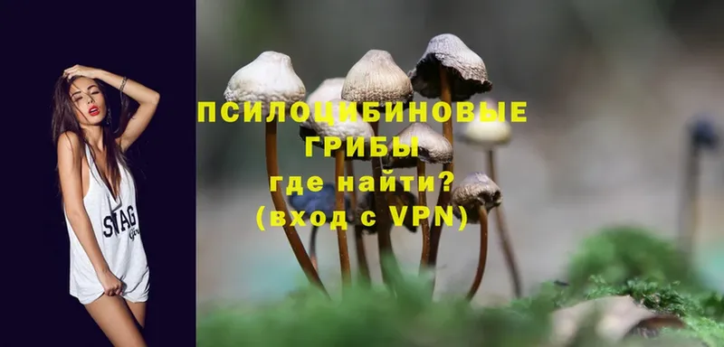 Галлюциногенные грибы мухоморы  магазин продажи   Ступино 